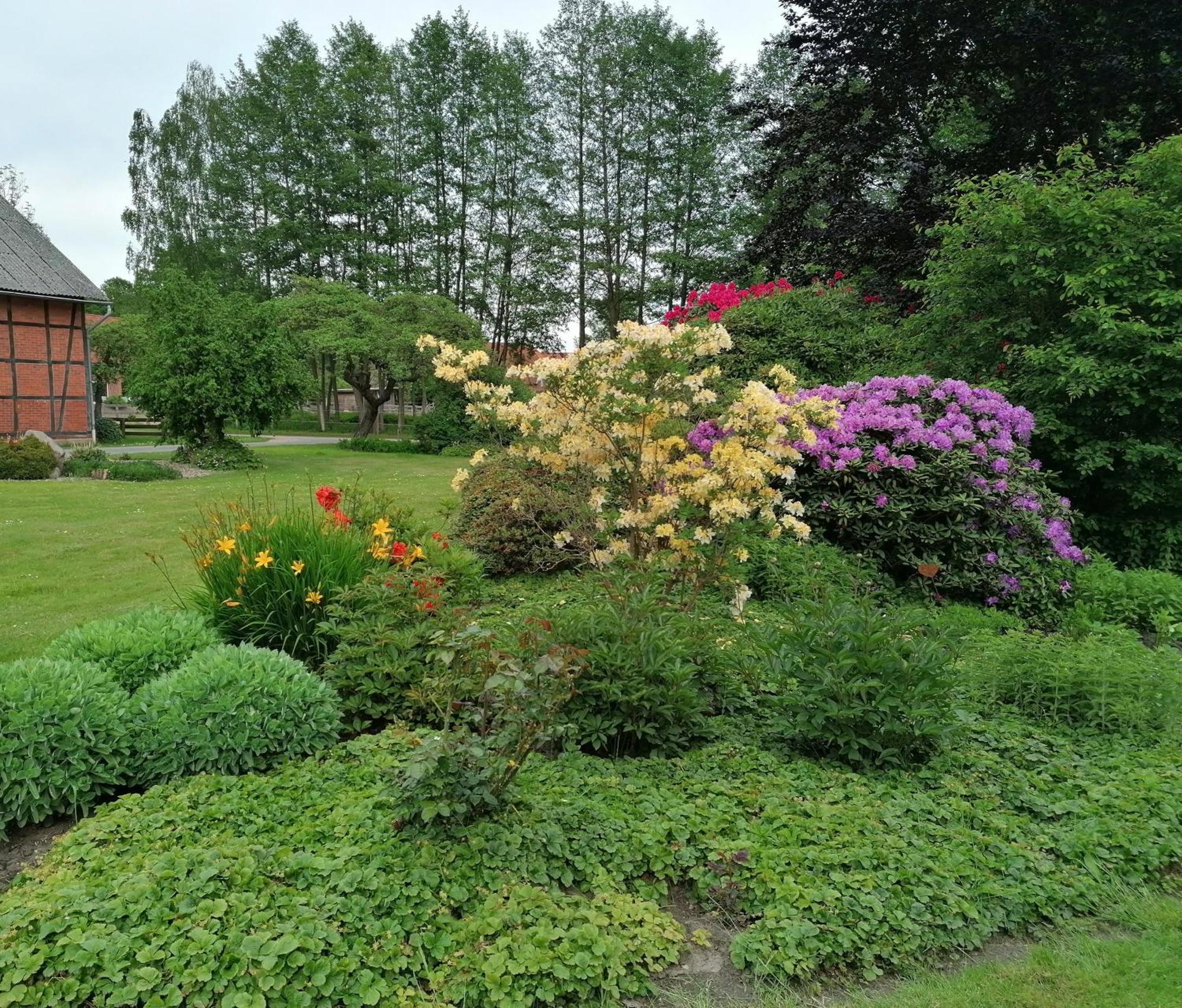 Ferienwohnung Am Teich Dannenberg Extérieur photo